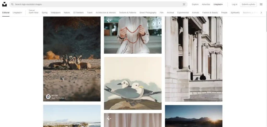 如何架設網站?網站架設 7 步驟 + 12 大架站平台懶人包! 26 Unsplash