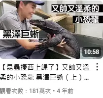 短影音行銷大全:秒吸百萬流量就靠這一篇! 7 YT@昆蟲擾西吳沁婕